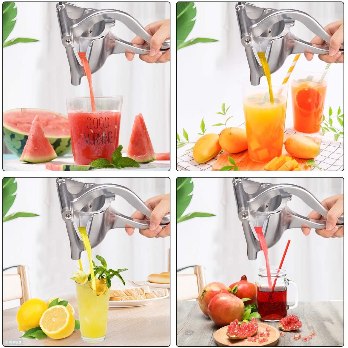 Manual Juice Squeezer